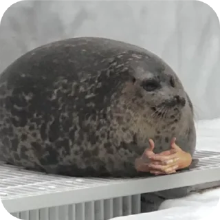 🎩 emoji Апчихва от кибер котлеты by дядя Миша Telegram sticker 18 of 66