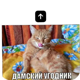 🐱 emoji Апчихва от кибер котлеты by дядя Миша Telegram sticker 16 of 66