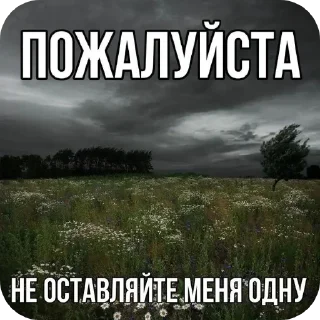 🌌 emoji подписывайтесь @prostolizabeach Telegram sticker 2 of 8