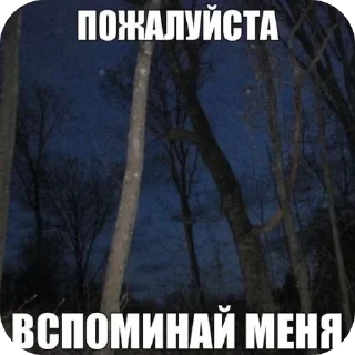🖼 emoji подписывайтесь @prostolizabeach Telegram sticker 6 of 8