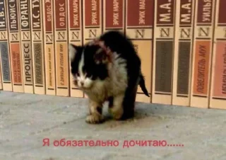 Sticker from котейки