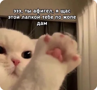 Sticker from муркотики // t