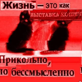 🌟 emoji т1 н1ком9 н3 н9ж3н Telegram sticker 11 of 93