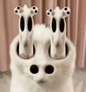 Стрёмный кот sticker 1