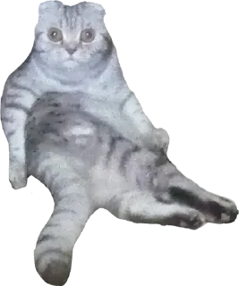 Sticker from Кот-мемчик