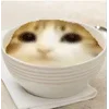 🌟 emoji Котосова Telegram sticker 10 of 25