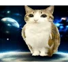 🌟 emoji Котосова Telegram sticker 11 of 25