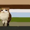 🌟 emoji Котосова Telegram sticker 22 of 25