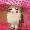 🌟 emoji Котосова Telegram sticker 21 of 25