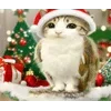 🌟 emoji Котосова Telegram sticker 15 of 25