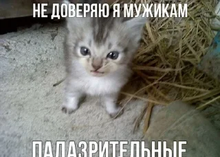 Sticker from котеки