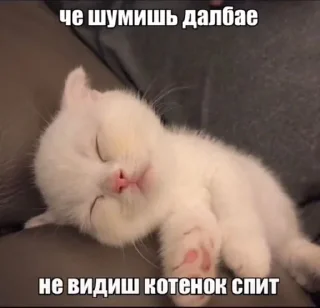 ⛓️ emoji я ебал, меня сосали Telegram sticker 24 of 72