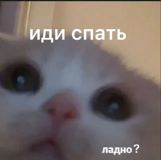 ⛓️ emoji я ебал, меня сосали Telegram sticker 20 of 72