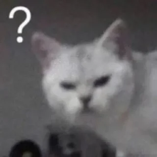 ⛓️ emoji я ебал, меня сосали Telegram sticker 21 of 72