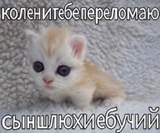 ⛓️ emoji я ебал, меня сосали Telegram sticker 9 of 72