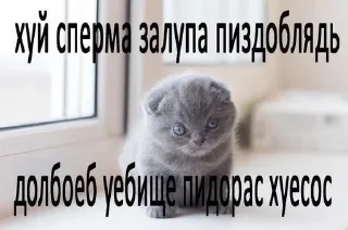 ⛓️ emoji я ебал, меня сосали Telegram sticker 23 of 72