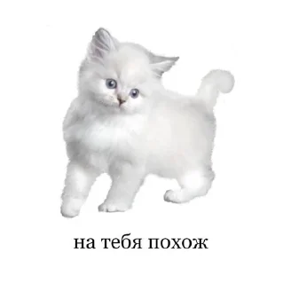 ⛓️ emoji я ебал, меня сосали Telegram sticker 16 of 72