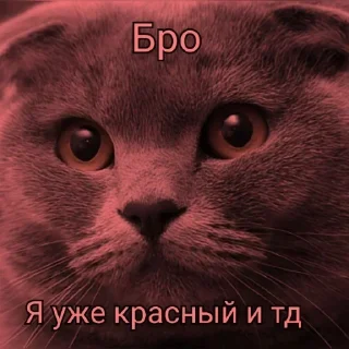Sticker from @FULLSITION <- БОЛЬШЕ