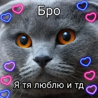 Sticker from @FULLSITION <- БОЛЬШЕ