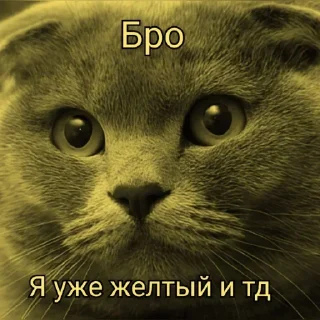 Sticker from @FULLSITION <- БОЛЬШЕ