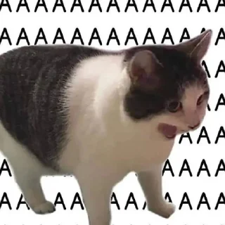 Sticker from Stickers