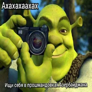 🙈 emoji Зелибобка вшашущвщвщыщщк ➡️ @Ctikerubot Telegram sticker 15 of 58