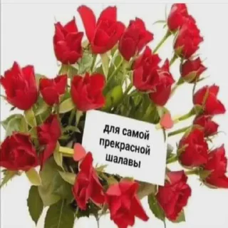 😅 emoji Зелибобка вшашущвщвщыщщк ➡️ @Ctikerubot Telegram sticker 8 of 58
