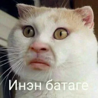 😎 emoji Зелибобка вшашущвщвщыщщк ➡️ @Ctikerubot Telegram sticker 6 of 58