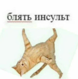 😜 emoji Зелибобка вшашущвщвщыщщк ➡️ @Ctikerubot Telegram sticker 5 of 58