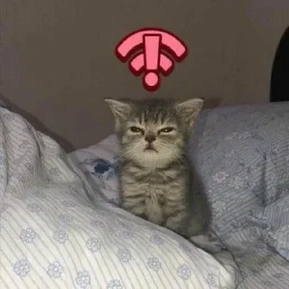 😱 emoji Зелибобка вшашущвщвщыщщк ➡️ @Ctikerubot Telegram sticker 24 of 58