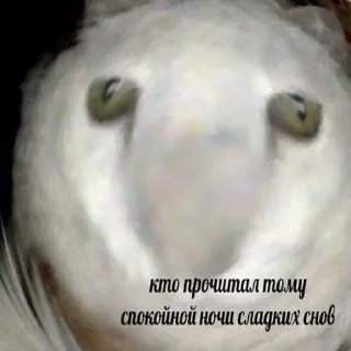 😔 emoji Зелибобка вшашущвщвщыщщк ➡️ @Ctikerubot Telegram sticker 20 of 58