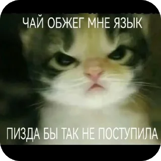 🫥 emoji На случай важных переговоров Telegram sticker 9 of 11