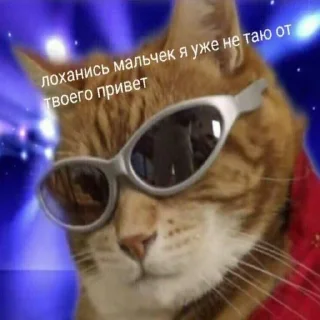 Sticker from На случай важных переговоров