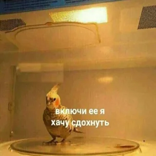 Sticker from На случай важных переговоров