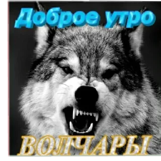 Sticker from На случай важных переговоров