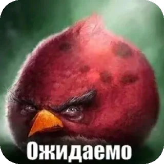 👍 emoji Рипаемся  автор: @Dalbaebakuso Telegram sticker 10 of 16
