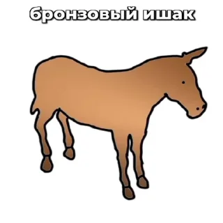 🫏 emoji Ишаки ➡️ @Ctikerubot Telegram sticker 9 of 12