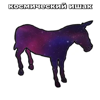 🫏 emoji Ишаки ➡️ @Ctikerubot Telegram sticker 5 of 12