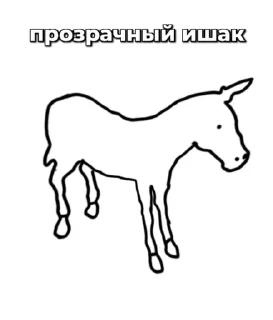 Sticker from Ишаки ➡️ @Ctikerubot
