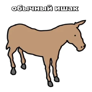 🫏 emoji Ишаки ➡️ @Ctikerubot Telegram sticker 12 of 12