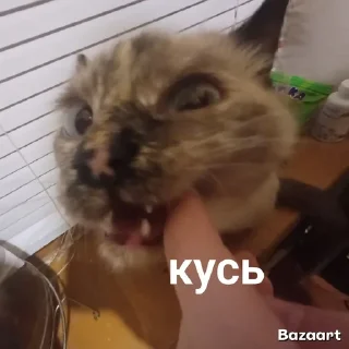 Sticker from Писюльки