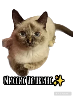 Sticker from Писюльки