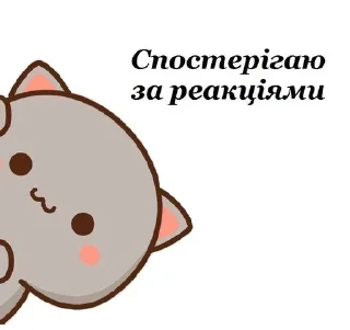 👀 emoji Зайчики, котики мої 😘 Telegram sticker 13 of 16