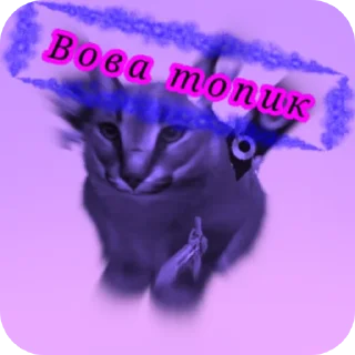 Sticker from Стикеры егуски