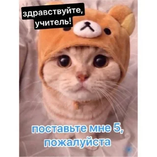 Sticker from делаем с училкой: