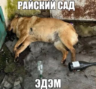 🌟 emoji Татарин напополам Онлаен Telegram sticker 19 of 120