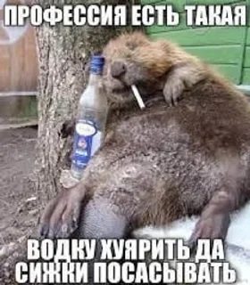🌟 emoji Татарин напополам Онлаен Telegram sticker 16 of 120