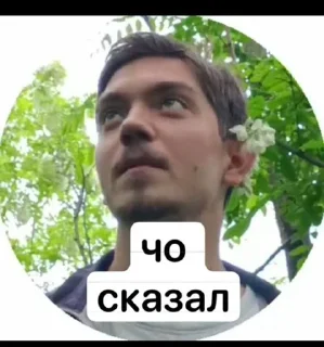 Sticker from клім мультікам тянєчка