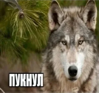 Sticker from маменькин дотер