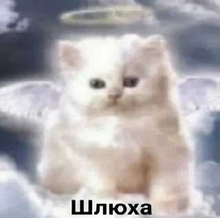 Sticker from маменькин дотер